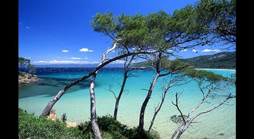 Petit Coin De Paradis Les Pieds Dans L'Eau La Londe-les-Maures Exterior photo